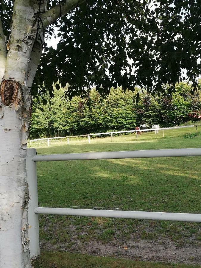 スベンボーTankefuld Living'S Horsefarmアパートメント エクステリア 写真